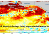marine heat wave