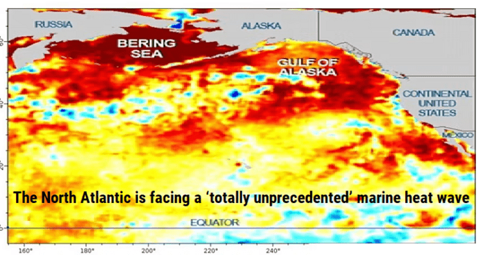 North Atlantic is facing a ‘totally unprecedented’ marine heat wave marine heat wave